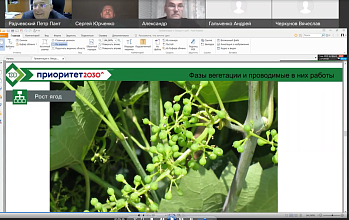 Программа обучения для виноградарей