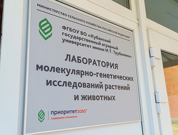 В России отметили более чем трехкратный рост спроса на IT-генетиков