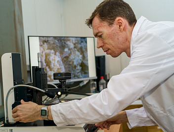 Нейросеть поможет за пять минут выявить фальсификации в кормах для животных