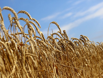 Подписано соглашение о развитии аграрного образования