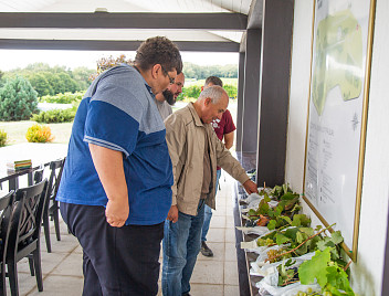 Представители КубГАУ посетили ведущие виноградарские предприятия Краснодарского края 