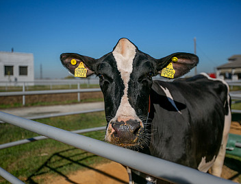 Создавая будущее