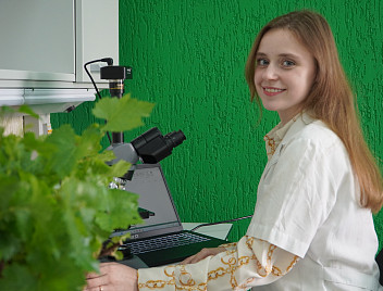 На Кубани разработали цифровую карту виноградника для роботизации процесса выращивания